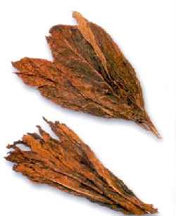 Gujarat Chewing Tobacco